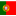 Portuguese Flag